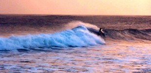 THROUGH THE WHISKY BARREL